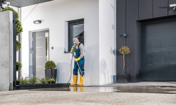 Best Soft Washing  in Wrightwood, CA